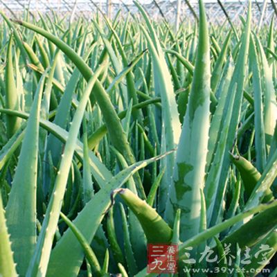 在配菜的时候如果遇到品中原料的性质不同 在配菜的时候如果遇到品中原料的性质不同