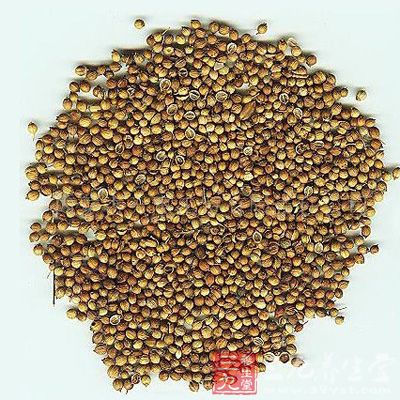 耳聋治疗 如何有效预防以及治疗耳聋(9) - 三九