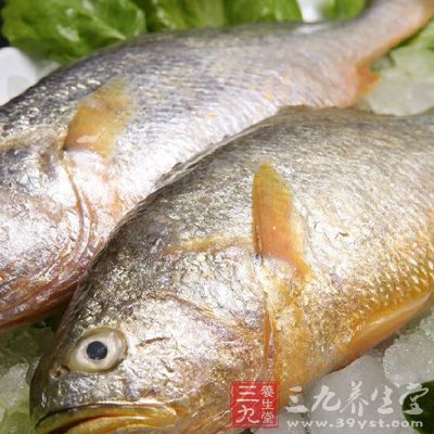 黃魚肉整理干凈，切成方丁