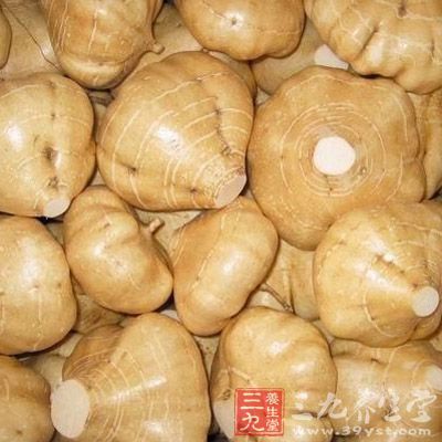 沙葛去皮切小块再和猪肉一块剁碎 沙葛去皮切小块再和猪肉一块剁碎