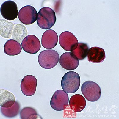 T细胞受体或可维持调节性T细胞的功能