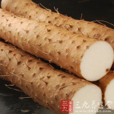 麻山药适用于身体虚弱、精神倦怠 麻山药适用于身体虚弱、精神倦怠