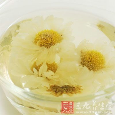 菊花茶：用菊花泡茶，气味芳香，可消暑、生津、祛风、润喉、养目、解酒