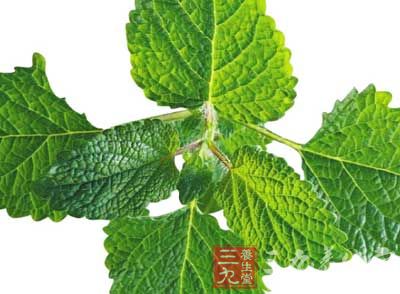 小承气汤功效与作用_中药百科