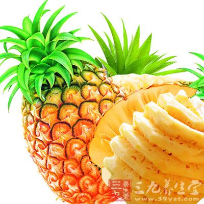 菠萝已广泛分布在南北回回线之间,成为世界重要的果树之一 菠萝已广泛分布在南北回回线之间,成为世界重要的果树之一