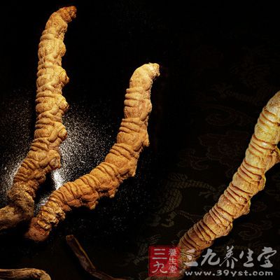 冬虫夏草抗肿瘤是通过调节人体免疫力实现的