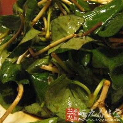 鱼腥草乙醚提取物在体外对结核杆菌有明显抑制作用