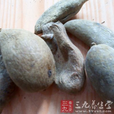 取五倍子、白糖各等量，混合在一起，搽于患處，每天3次，常用于治療口舌生瘡、潰瘍等癥