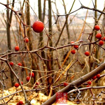 酸枣仁、黄芪、茯苓、五加皮各30克