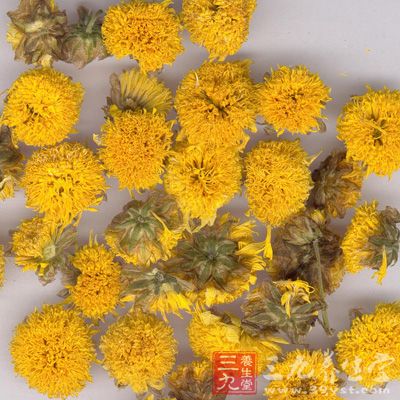 孕婦喝菊花茶養(yǎng)肝明目