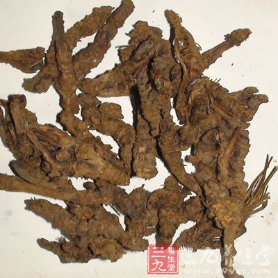 《纲目》：黄连大苦大寒，用之降火燥湿