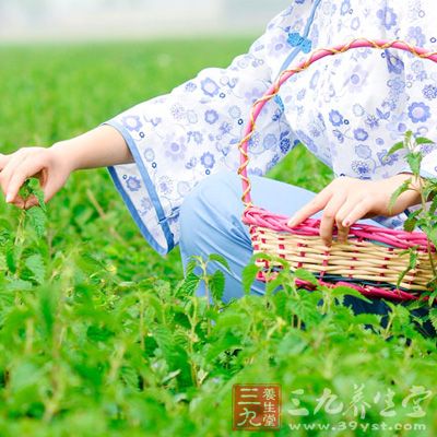 冬凌草糖漿劑治療早期食管癌