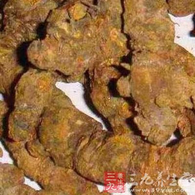 新生兒黃疸可用黃連治療嗎