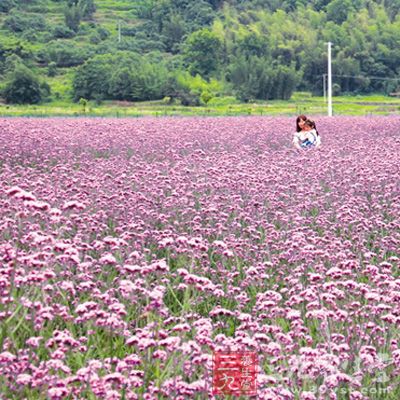 将精油及甜杏仁油混匀后备用