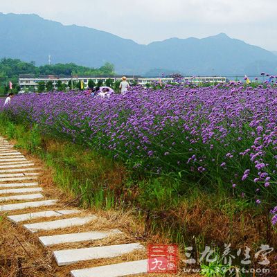 治疗流行性感冒