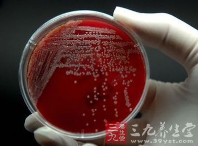 2014食品安全 微生物污染成为首要问题