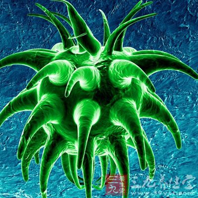 h9n7禽流感病毒可以通过呼吸道传染给人类 h9n7禽流感病毒可以通过呼吸道传染给人类