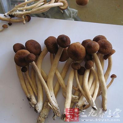 挑选的重点就是茶树菇是否清香