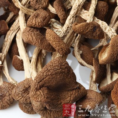 干茶树菇每百克含有铁42.3毫克，远远高于其他菌类