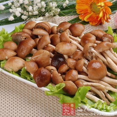 茶树菇可配用鲜肉或鲜蛋煎、炒、煲汤