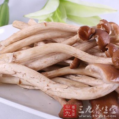 孕妇能吃茶树菇