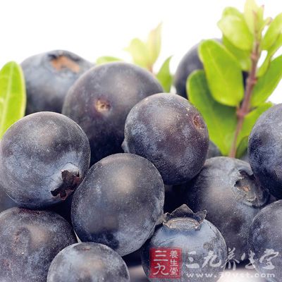 蓝莓对心血管疾病风险因子的正面效应 蓝莓对心血管疾病风险因子的正面效应