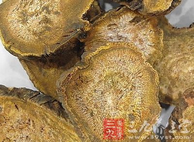 大黄是多种蓼科大黄属的多年生植物的合称