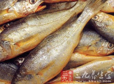 与池沼公鱼的区别为体侧纵列鳞较多 与池沼公鱼的区别为体侧纵列鳞较多