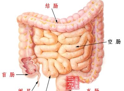 大肠癌是一种比较常见的恶性肿瘤