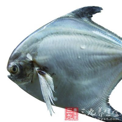 鮑魚，形似編魚，而腦上突起