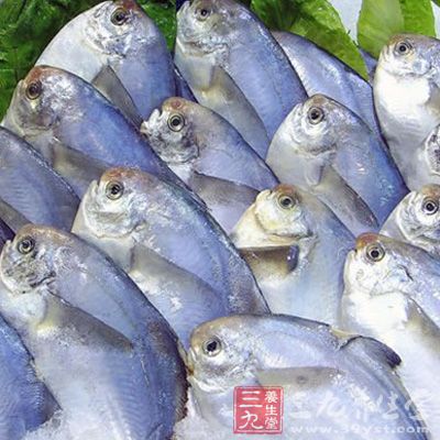 鯧魚具有益氣養(yǎng)血、補(bǔ)胃益精、滑利關(guān)節(jié)、柔筋利骨之功效