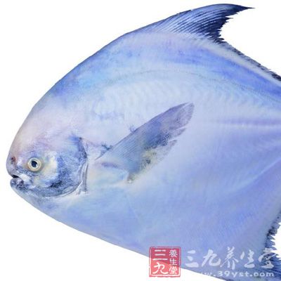 鯧魚含有豐富的微量元素硒和鎂