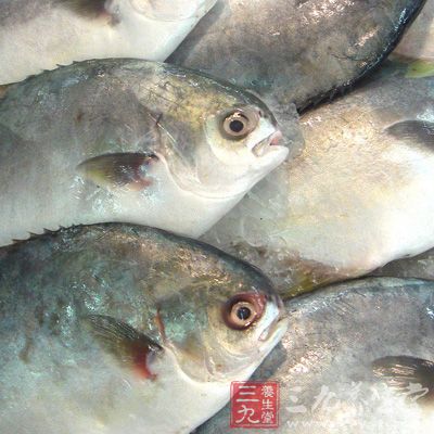 鯧魚是人們?nèi)粘Ｉ钪薪?jīng)常食用的魚類之一