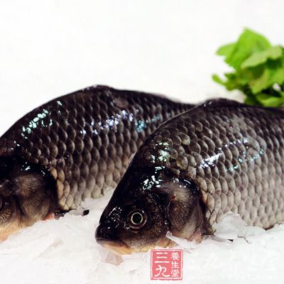 新鮮的鯽魚具有利水消腫、清熱解毒以及通絡(luò)下乳的作用