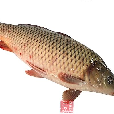 头皮屑多又痒怎么办 如何远离头屑困恼(8) - 三