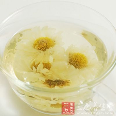 菊花茶能够清理体内毒素