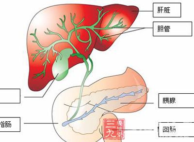 胆管癌症状 如何有效治疗胆管癌