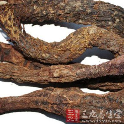 開水煮當(dāng)茶喝，每次不超過7克