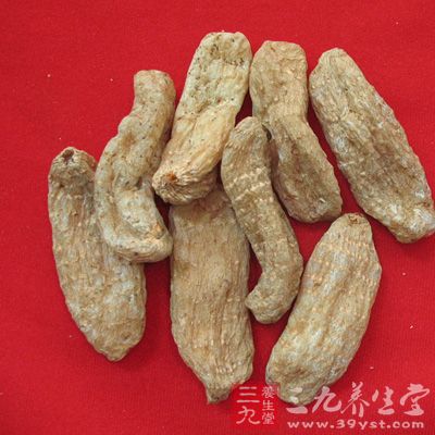 天麻的功效与作用天麻是治疗偏头痛的良药9