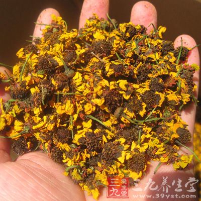 昆仑雪菊是维吾尔族世代传承下来的一种养生、保健的天然植物