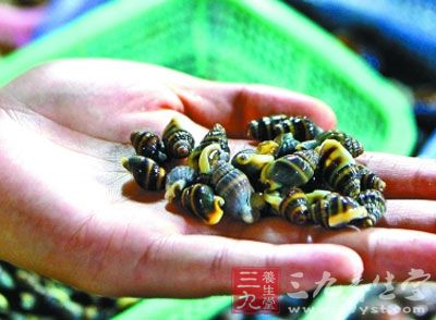 海南食安提醒消费者别吃河豚铜铸蟹织纹螺 - 三九养生堂