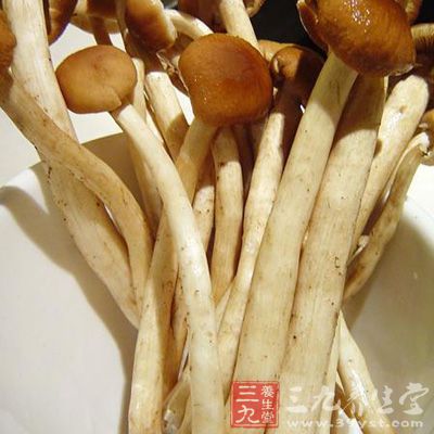 挑选的重点就是茶树菇是否清香