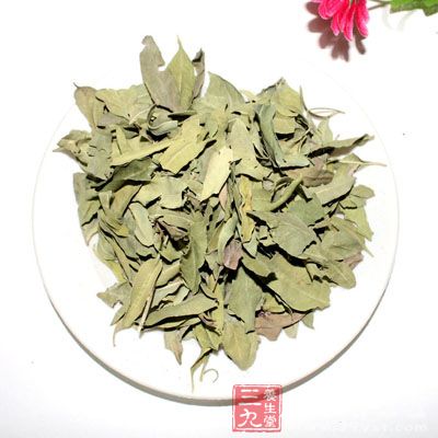 罗布麻叶的药用价值与应用_清热药_中药图典