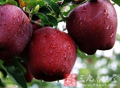 马来西亚查扣部分美国进口苹果 防病菌入侵