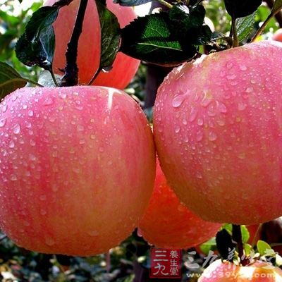 吃苹果减肥的具体方法是三天之内不能吃其他食物，每天只吃苹果