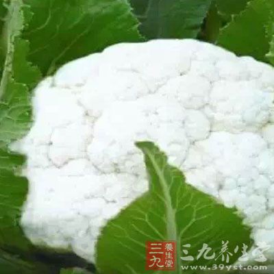 胰腺癌“免死金牌”————菜花 胰腺癌“免死金牌”————菜花