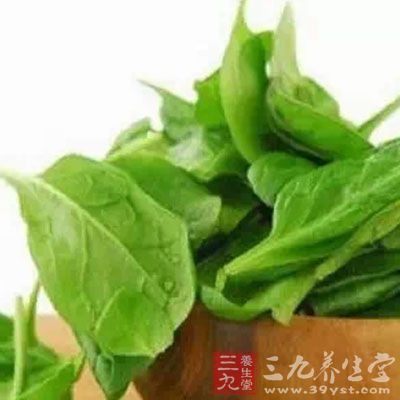 肺癌“免死金牌”————菠菜 肺癌“免死金牌”————菠菜