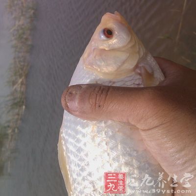 脾虛水腫：白鯽魚4條，赤小豆30g