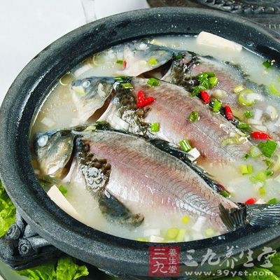 白鯽魚燉豆腐