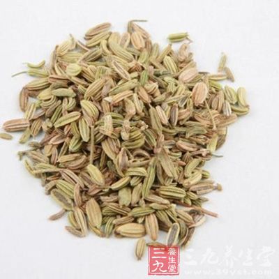 每天在吃完饭之后吃上一些茴香子